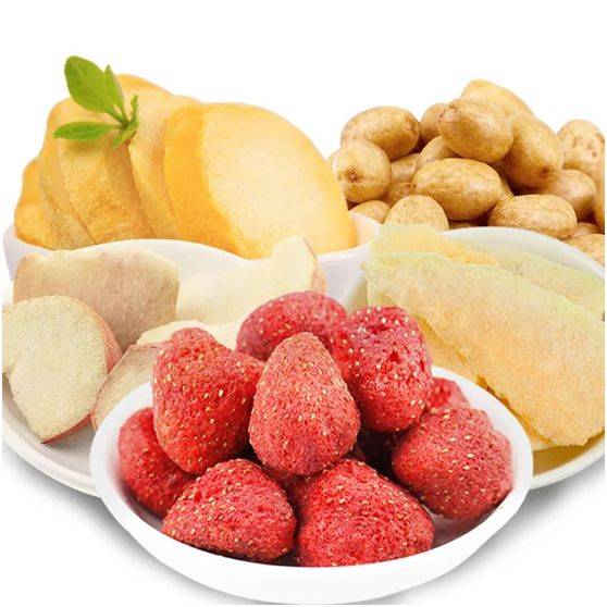 labconco FreeZone 2.5L臺式凍干機在食品上的應用